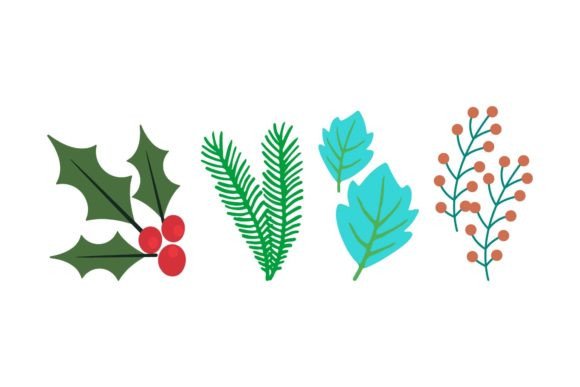Christmas Plant Vector Illustrations for Branding and Marketing