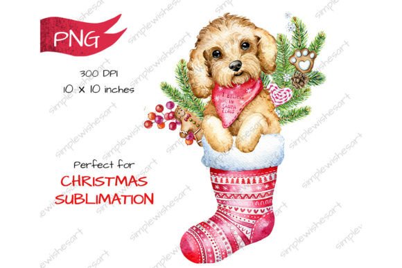 Cute Christmas Dog, Poodle, Labradoodle Illustration Review